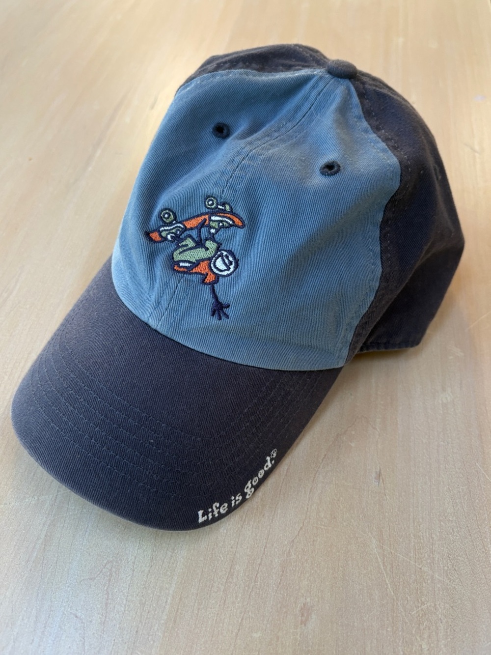 Life Is Good Skateboarder Hat blue NWT